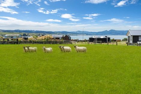 Photo of property in 223 Moturata Road, Taieri Beach, Taieri Mouth, 9091