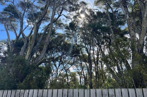 Photo of property in 11 Ti Tree Lane, Stanmore Bay, Whangaparaoa, 0932