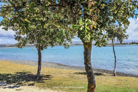 Photo of property in The Terraces, 18/9 Humber Street, Pandora, Napier, 4110