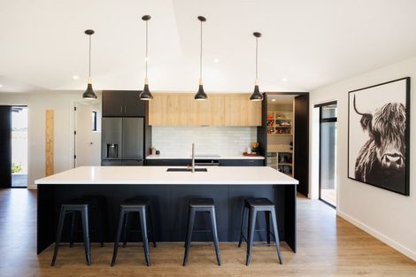 Photo of property in 151 Nannestads Line, Bunnythorpe, Palmerston North, 4775