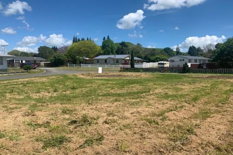 Photo of property in 20 Goodwin Street, Tirau, 3410