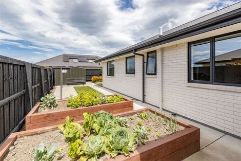 Photo of property in 26 Zabeel Street, Lincoln, 7608