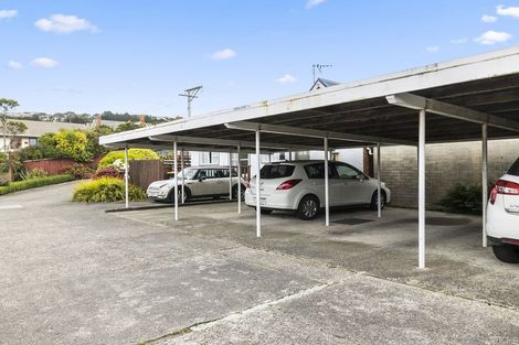 Photo of property in 2/20 Ings Avenue, Saint Clair, Dunedin, 9012