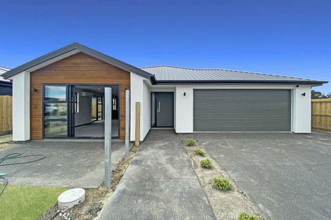 Photo of property in 4 Sedge Street, Belfast, Christchurch, 8051