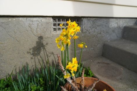 Photo of property in 4 Mclellan Street, Tawa, Wellington, 5028