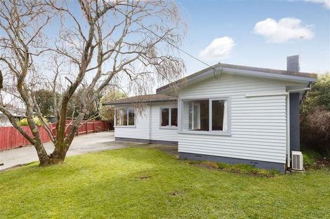 Photo of property in 8 Dundas Place, Awapuni, Palmerston North, 4412