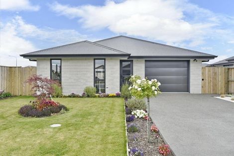 Photo of property in 5 Clare Street, Woodend, 7610