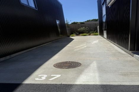 Photo of property in 37 Houhere Street, Paraparaumu, 5032