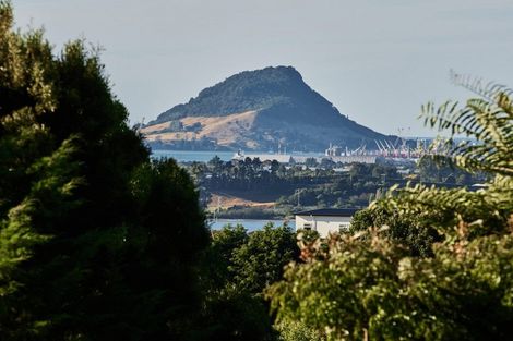 Photo of property in 38 Holcombrooke Lane, Welcome Bay, Tauranga, 3175