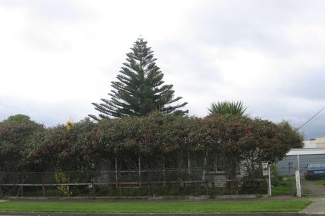 Photo of property in 31 Seddon Street, Levin, 5510