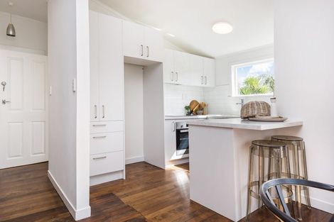 Photo of property in 93 Williamson Avenue, Grey Lynn, Auckland, 1021
