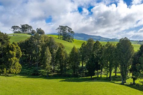 Photo of property in 554 Maungatawhiri Road, Raglan, 3295