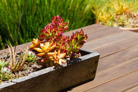 Photo of property in 53a Hillview Road, Waihi Beach, 3611