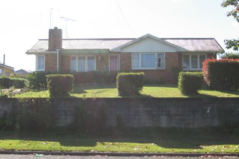 Photo of property in 17 Bent Street, Putaruru, 3411