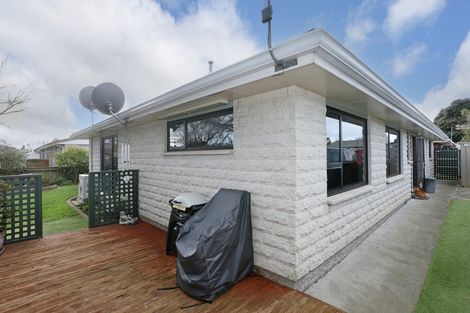 Photo of property in 89a Monmouth Street, Feilding, 4702