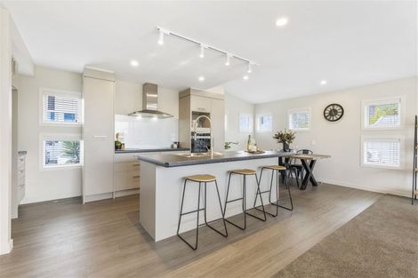 Photo of property in 19a Rostrevor Street, Hamilton Central, Hamilton, 3204