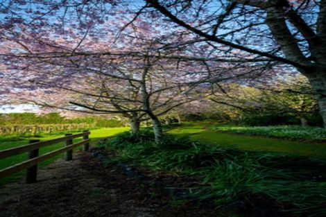 Photo of property in 489 Waiuku-otaua Road, Otaua, Waiuku, 2682