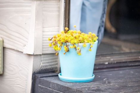 Photo of property in 7d Havelock Road, Ngaruawahia, 3720