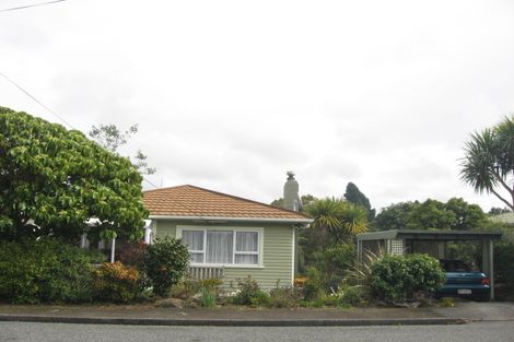 Photo of property in 53 Essex Street, Vogeltown, New Plymouth, 4310