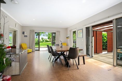 Photo of property in 165 Buckland Road, Matamata, 3472