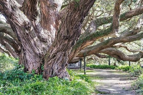 Photo of property in Argent Hall Apartments, C/2 Eden Crescent, Auckland Central, Auckland, 1010