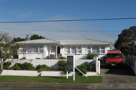 Photo of property in 59 Thompson Terrace, Manurewa, Auckland, 2102