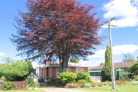 Photo of property in 17 Bedford Crescent, Matamata, 3400