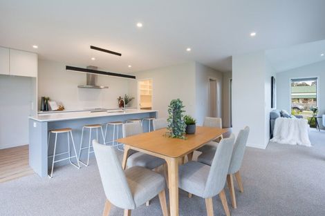 Photo of property in 41 Hart Road, Richmond, 7020