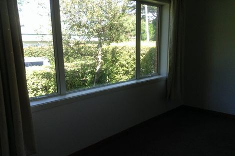 Photo of property in 3 Avon Street, Roslyn, Dunedin, 9010