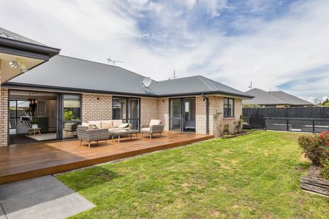 Photo of property in 23 Pegasus Main Street, Pegasus, 7612