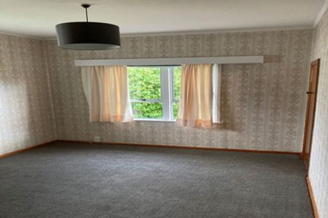 Photo of property in 46 Haultain Street, Fairfield, Hamilton, 3214