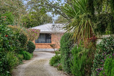 Photo of property in 646 Grey Street, Hamilton East, Hamilton, 3216