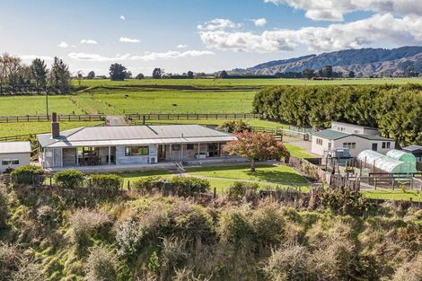 Photo of property in 382 Kimberley Road, Levin, 5571