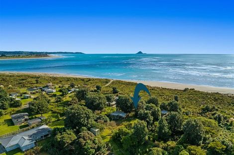 Photo of property in 408 Ohiwa Harbour Road, Waiotahi, Opotiki, 3198