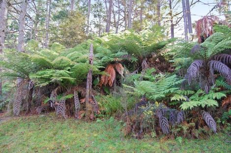 Photo of property in 704 State Highway 1, Wellsford, 0975