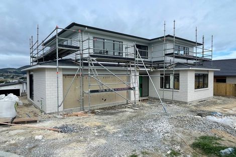 Photo of property in 183 John Burke Drive, Aotea, Porirua, 5024