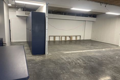 Photo of property in 16 Kent Terrace, Mount Victoria, Wellington, 6011