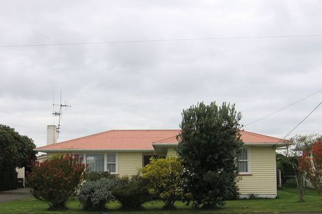 Photo of property in 24 Carlisle Street, Levin, 5510