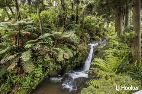 Photo of property in 115 Ngatitangata Road, Waihi, 3681