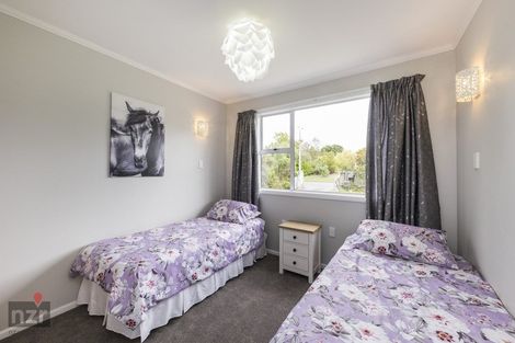 Photo of property in 87 Makino Road, Feilding, 4702