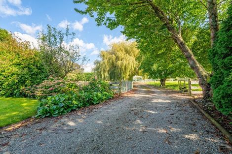 Photo of property in 1643 Glenavy-hilderthorpe Road, Waitaki Bridge, Oamaru, 9493