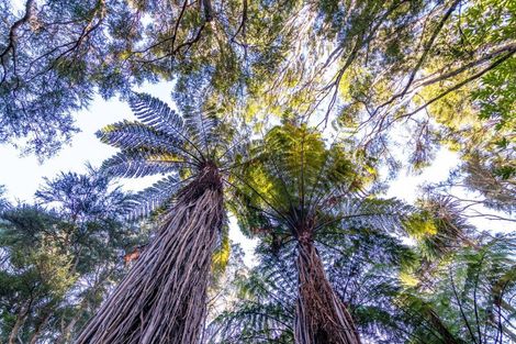 Photo of property in 1469 Pack Spur Road, Mataikona, Masterton, 5889