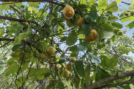 Photo of property in 11 Hamua Place, Waitara, 4320