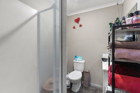 Photo of property in 207b Killarney Road, Frankton, Hamilton, 3204