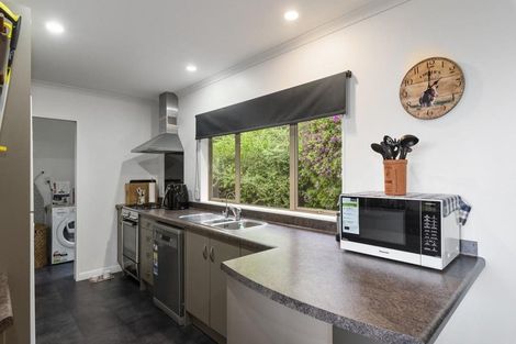 Photo of property in 91 Buckley Road, Shannon, Palmerston North, 4474