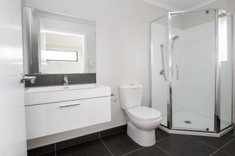 Photo of property in 41 Ladeira Place, Fitzroy, Hamilton, 3206