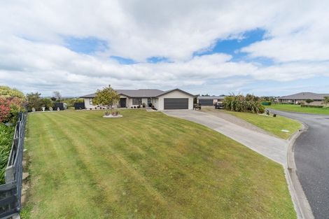 Photo of property in 49 Wapiti Avenue, Feilding, 4775