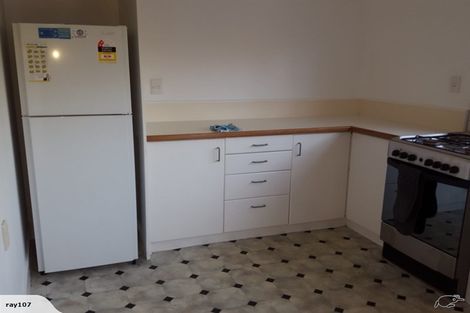 Photo of property in 113 Wallace Street, Mount Cook, Wellington, 6021