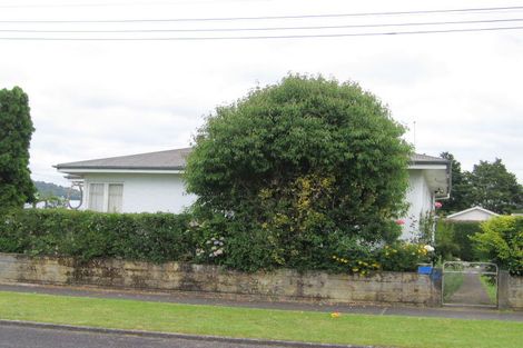Photo of property in 2 Leese Street, Taumarunui, 3920