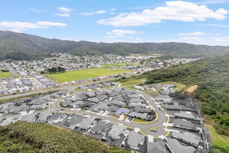 Photo of property in 24 Brian Morgan Terrace, Wainuiomata, Lower Hutt, 5014
